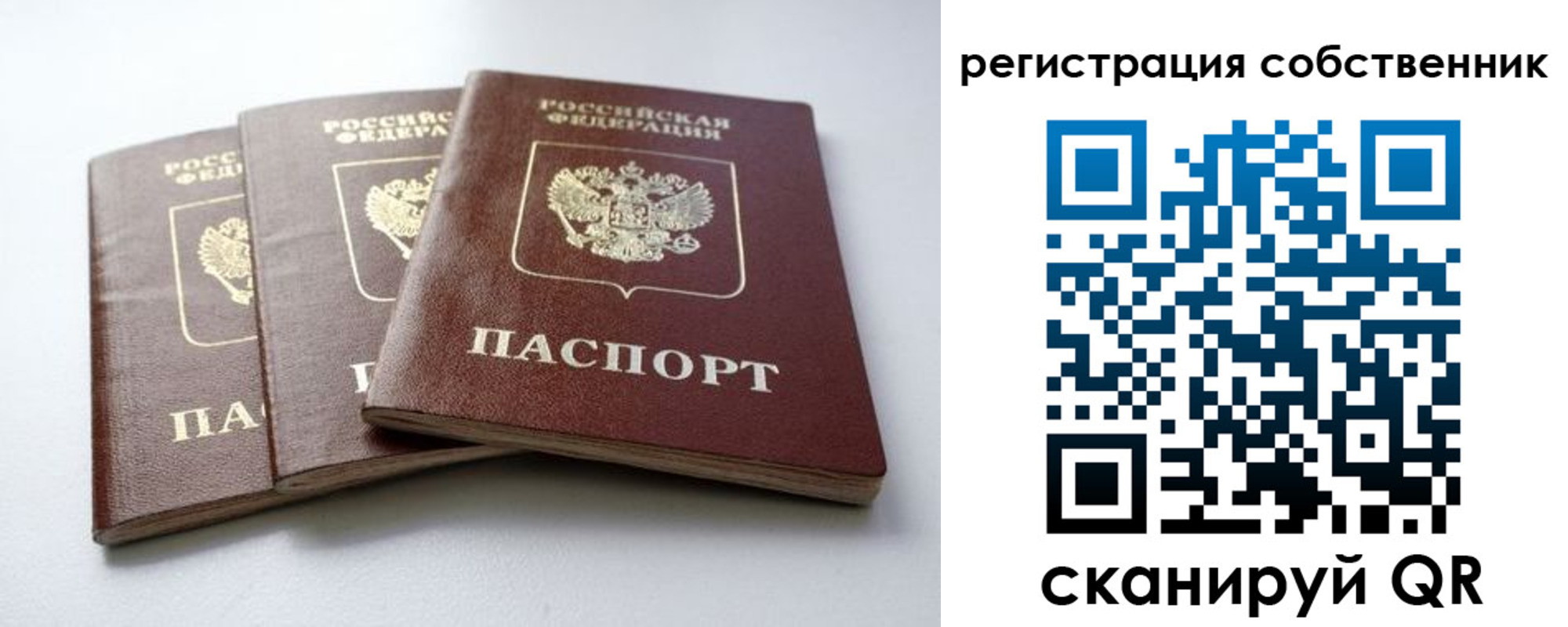 прописка для школы в Белореченске